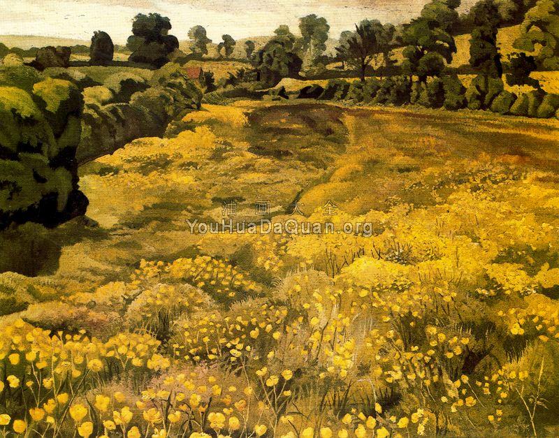 buttercups in a meadow